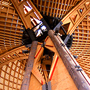 bauholzinspektionen_3.jpg